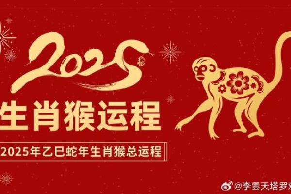 六月份属猴之人:智慧与机遇的完美结合 六月份属猴之人:智慧与机遇的完美结合