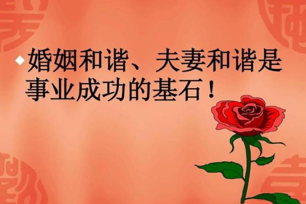两人相处的命卦解析:探寻心灵深处的和谐之道 两人相处的命卦解析:探寻心灵深处的和谐之道