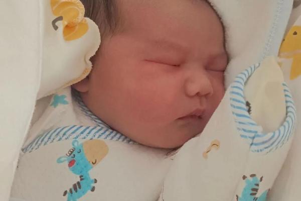 2024年出生的孩子命理分析:从五行看木命的未来潜力 2024年出生的孩子命理分析:从五行看木命的未来潜力