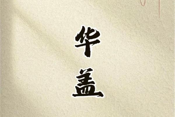 揭开女命5.2两的神秘面纱,探索命理的奥秘与人生导向 揭开女命5.2两的神秘面纱,探索命理的奥秘与人生导向
