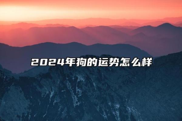 70年属狗的男性命运解析:一生的运势与性格揭秘 70年属狗的男性命运解析:一生的运势与性格揭秘