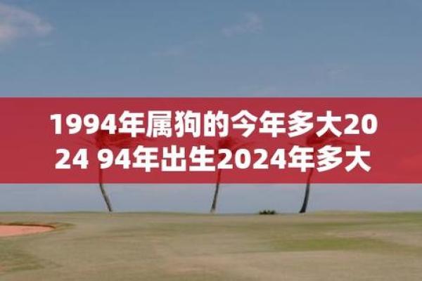 70年属狗的男性命运解析:一生的运势与性格揭秘 70年属狗的男性命运解析:一生的运势与性格揭秘