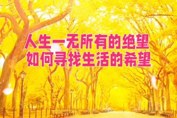 命命鸟:命运的鸟,飞翔于希望与绝望之间 命命鸟:命运的鸟,飞翔于希望与绝望之间