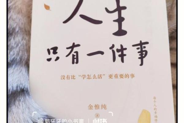命无言之意,细数人生的无声哲理与思考 命无言之意,细数人生的无声哲理与思考