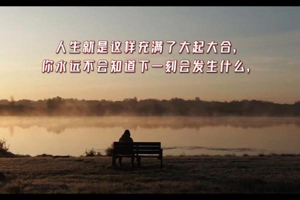 命独与命毒:解密人生背后的命运密码与影响力 命独与命毒:解密人生背后的命运密码与影响力