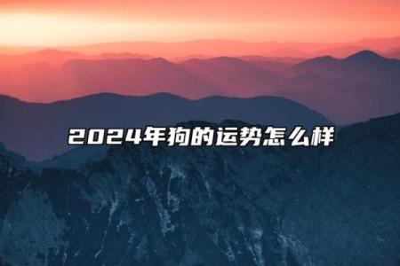 70年属狗的男性命运解析：一生的运势与性格揭秘