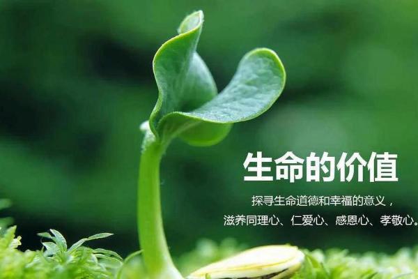 理解命理的奥秘:几钱几两赋予生命的意义与价值 理解命理的奥秘:几钱几两赋予生命的意义与价值