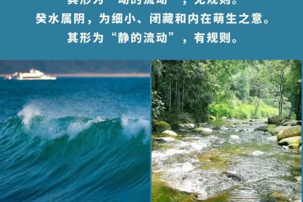 六月出生的五行命运解析:探索命理背后的秘密与智慧 六月出生的五行命运解析:探索命理背后的秘密与智慧
