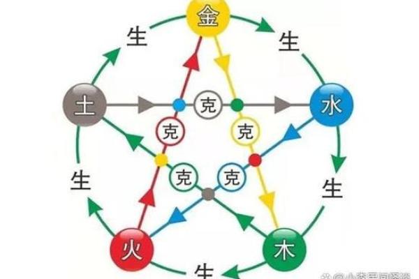 探索五行之中:马的命理与性格解析 探索五行之中:马的命理与性格解析
