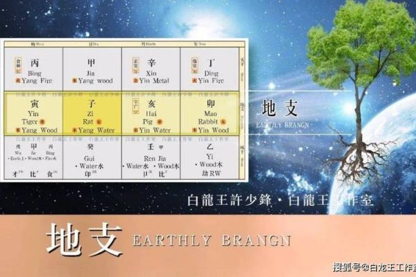 命理命格的奥秘:如何揭示你的未来与潜能? 命理命格的奥秘:如何揭示你的未来与潜能?