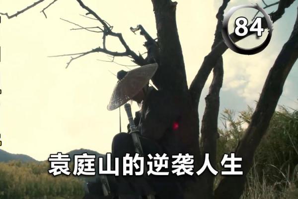 逆天改命:如何选择适合自己的职业,实现人生逆袭 逆天改命:如何选择适合自己的职业,实现人生逆袭