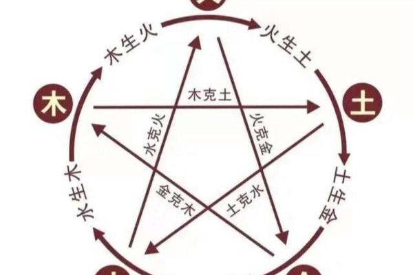 炉中火命人适合的植物推荐与养护技巧 炉中火命人适合的植物推荐与养护技巧