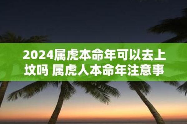 2024年三月虎宝宝命运解析:开启人生的新篇章 2024年三月虎宝宝命运解析:开启人生的新篇章