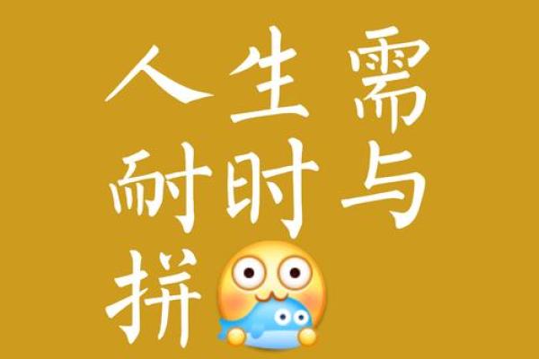 探究命里有财的命格,揭秘财富之道 探究命里有财的命格,揭秘财富之道
