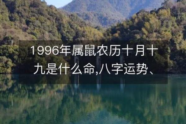路旁土命的最佳搭配:揭示性格与命理的完美结合 路旁土命的最佳搭配:揭示性格与命理的完美结合