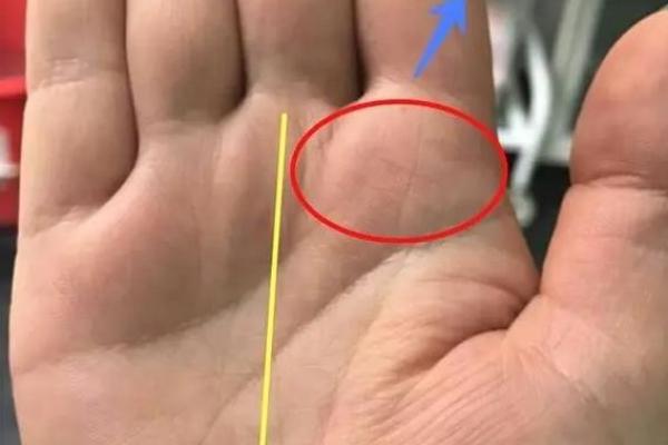 命里带财的掌纹解析:揭示你与财富的微妙关系 命里带财的掌纹解析:揭示你与财富的微妙关系