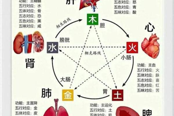 木命与五行相克相冲的奥秘—探索命理深层次的关系 木命与五行相克相冲的奥秘—探索命理深层次的关系