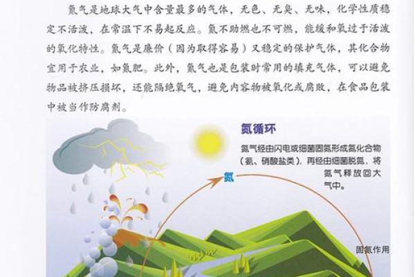 命理中的成语:智慧的源泉与生活的启示 命理中的成语:智慧的源泉与生活的启示