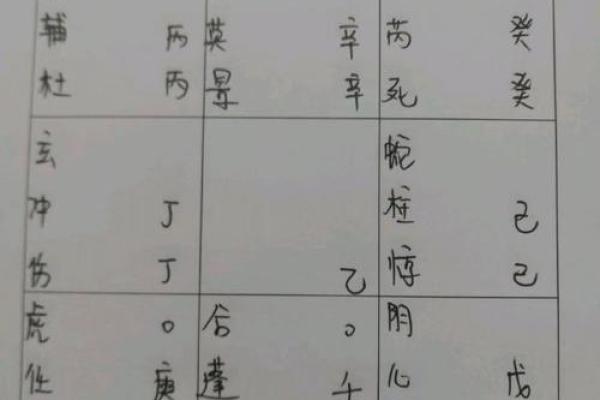 探秘命理:离命与坤命的奥秘与人生启示 探秘命理:离命与坤命的奥秘与人生启示