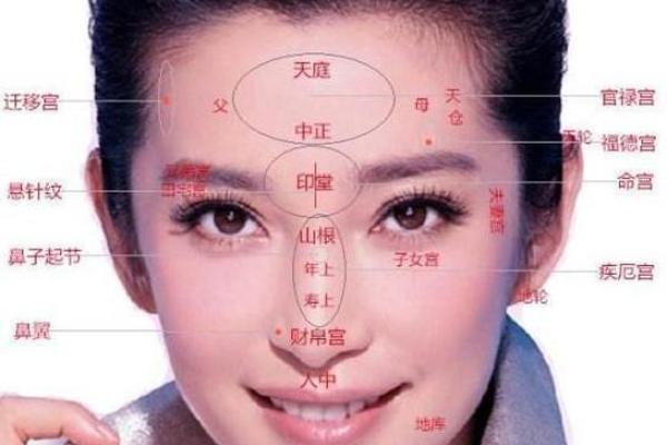 眉毛的形态:是桃花命还是富贵命的秘密探寻 眉毛的形态:是桃花命还是富贵命的秘密探寻