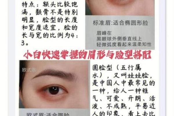 眉毛的形态:是桃花命还是富贵命的秘密探寻 眉毛的形态:是桃花命还是富贵命的秘密探寻