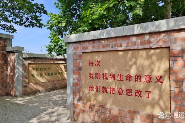 探索2000年四月十四日出生命运的奥秘:命理与生活的交织 探索2000年四月十四日出生命运的奥秘:命理与生活的交织