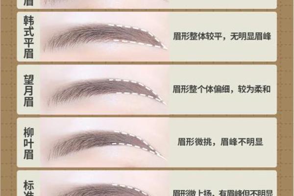 眉形与命运:解析富贵命的女人眉形特征 眉形与命运:解析富贵命的女人眉形特征