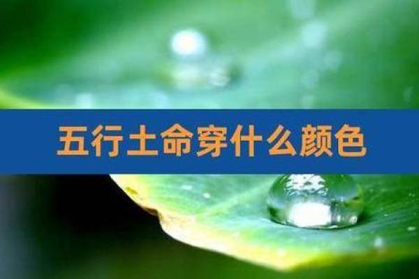 路旁土与什么命最配?探讨五行相生经典搭配 路旁土与什么命最配?探讨五行相生经典搭配