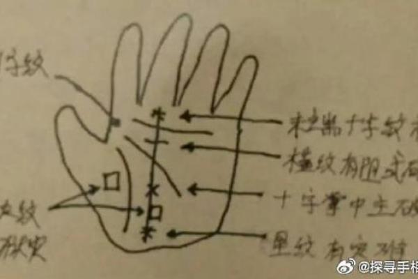 没有食伤照样发财的命运解析:揭示命理中的财富之道 没有食伤照样发财的命运解析:揭示命理中的财富之道
