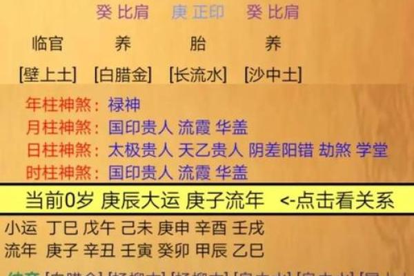 男性属相与命理:解析你的性格与运势之谜 男性属相与命理:解析你的性格与运势之谜