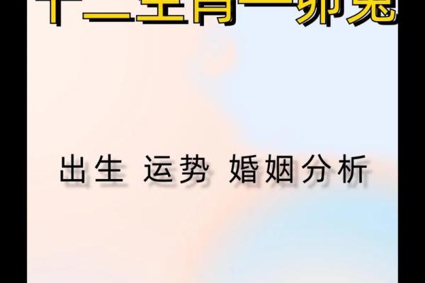 男性属相与命理:解析你的性格与运势之谜 男性属相与命理:解析你的性格与运势之谜