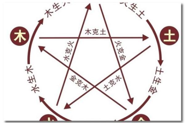 属兔人的命运分析:最适合的职业与生活方式探讨 属兔人的命运分析:最适合的职业与生活方式探讨