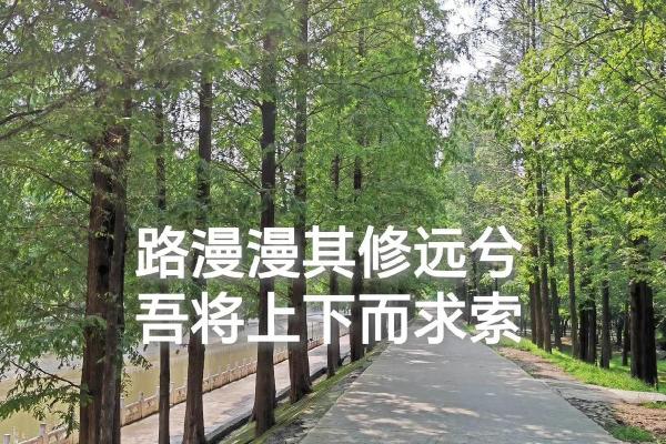 揭秘女人三两命,人生的奇妙旅程与命运的早知! 揭秘女人三两命,人生的奇妙旅程与命运的早知!