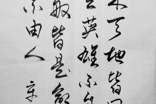 命不由我,逆天而行的艰辛之路 命不由我,逆天而行的艰辛之路