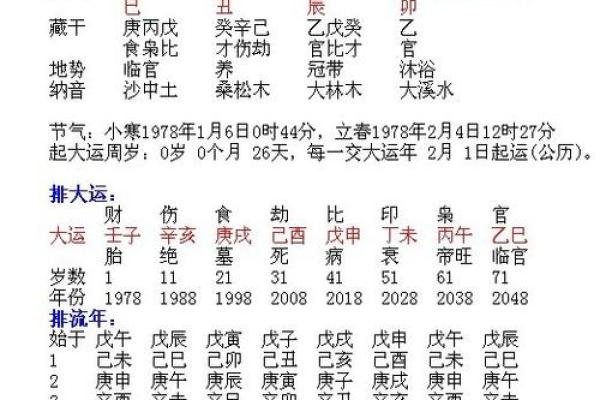 命带寡宿:解读命理中的孤独与自我成长之路 命带寡宿:解读命理中的孤独与自我成长之路