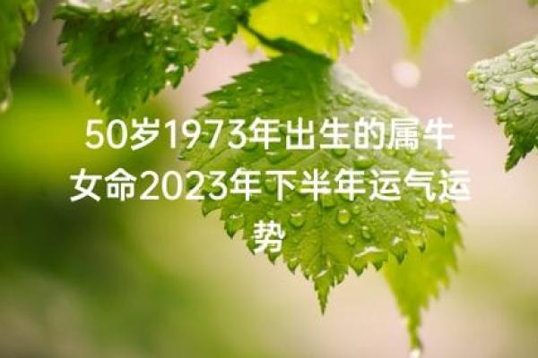 牛年运势解析:2024年属牛人士命理指南与生活启示 牛年运势解析:2024年属牛人士命理指南与生活启示