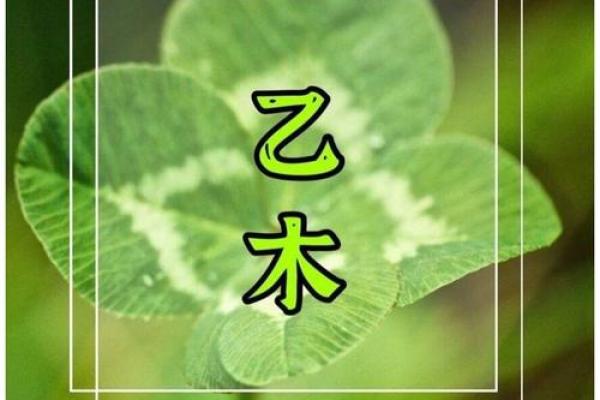 木命的命理之道:不可携带的禁忌与生活智慧 木命的命理之道:不可携带的禁忌与生活智慧
