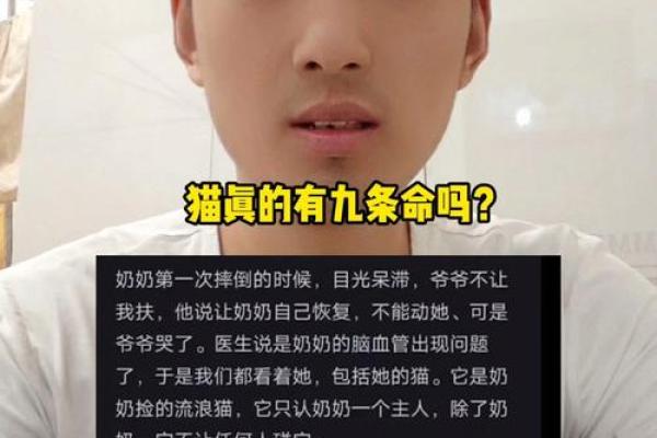 猫为什么有九条命,狗却没有?揭秘猫的传奇与生存技能! 猫为什么有九条命,狗却没有?揭秘猫的传奇与生存技能!