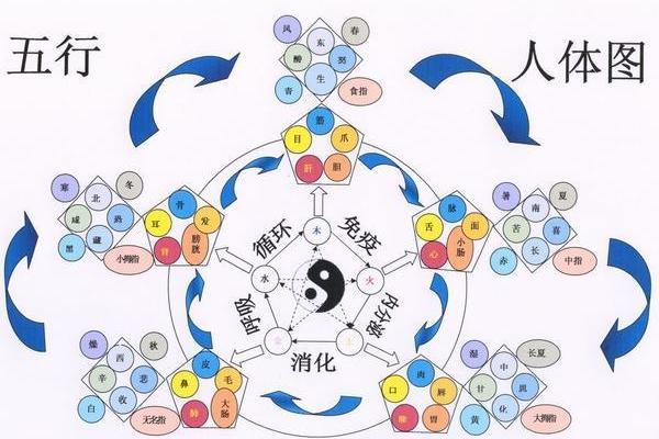 命理探秘:教你通过五行看透自己的命格与人生之路 命理探秘:教你通过五行看透自己的命格与人生之路