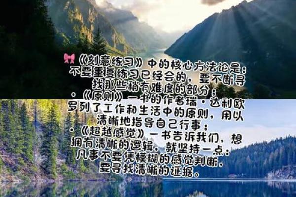 卯木的命理解读:探寻性格与命运的秘密 卯木的命理解读:探寻性格与命运的秘密