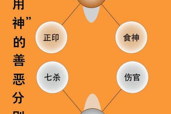 木命的人适合的防盗门选择与风水小贴士 木命的人适合的防盗门选择与风水小贴士