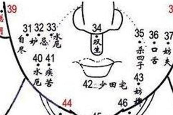 眉头两颗痣的命运解读:揭示潜在的性格与人生轨迹 眉头两颗痣的命运解读:揭示潜在的性格与人生轨迹