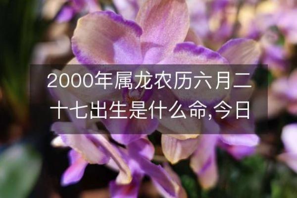 探索九月农历十八的命理奥秘与人生启示 探索九月农历十八的命理奥秘与人生启示