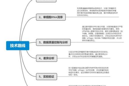 女人右手三个螺纹的命运解析：揭示隐藏在掌中的玄机