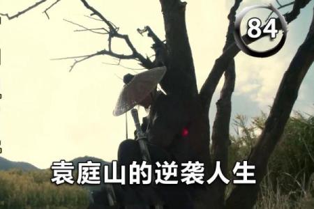 逆天改命：如何选择适合自己的职业，实现人生逆袭