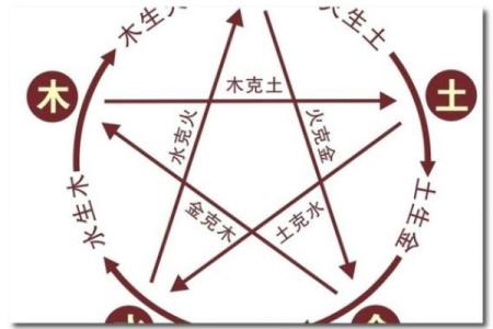 属兔人的命运分析：最适合的职业与生活方式探讨