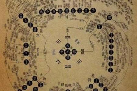 无子女的八字命理解析：命运与家庭的奇妙关系