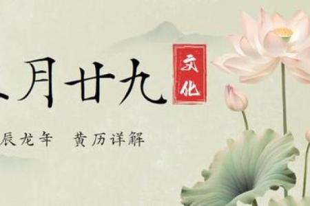 满命双改：探索命理与个体成长的奇妙之旅