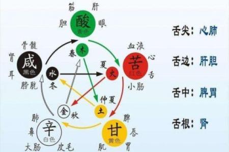 炉中火命与水命、木命的最佳搭配解析