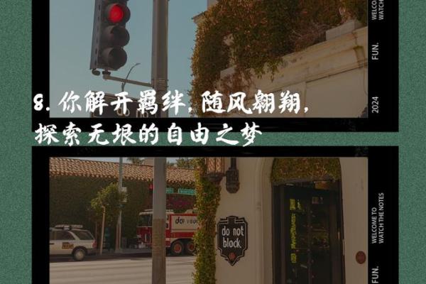 在生命的旅途中,我们如何找到真正的意义? 在生命的旅途中,我们如何找到真正的意义?